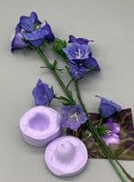 Bellflower (Campanula) mould by Angeliza NO LONGER AVAILABLE