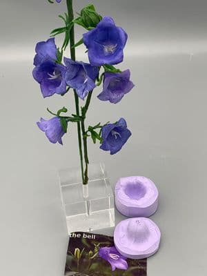 Bellflower (Campanula) mould by Angeliza NO LONGER AVAILABLE