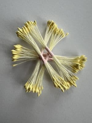 Blooming Cake Tools Lemon No 54 long head stamens for sugar flowers