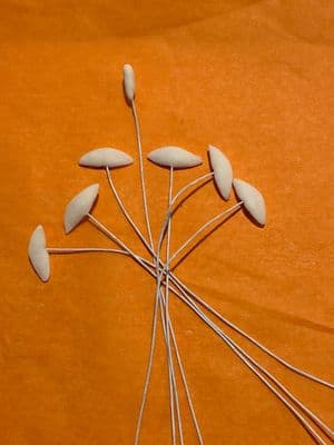 Blooming Cake Tools  White Lily Stamens