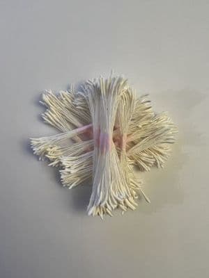 Blooming Cake Tools White No. 47 long head stamens - 300 supplied as 12 bunches of 25