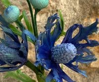Blue Thistle (eryngium planum) Centre Mould by Angeliza NO LONGER AVAILABLE