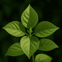 Bougainvillea Leaf Small Cutter by Robert Haynes was £6.35 now with 35% discount £4.13