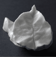 Bougainvillea Single Small Leaf Veiner By Robert Haynes was £14.95 now with 35% discount £9.72