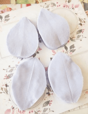 Camellia Petal and Leaf veiner set by Stefania Zelli