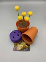 Craspedia (Billy Balls) mould by Angeliza