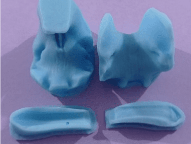 Cymbidium Orchid Throat veiner set by Stefania Zelli NO LONGER STOCKED