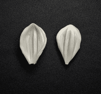 Dahlia (Babylon Red) Petal Veiner Medium By Simply Nature was £17.49 now with 40% discount £10.49