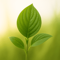 Dogwood Leaf Veiner Small By Simply Nature was £10.04 now  with 40% discount £6.02