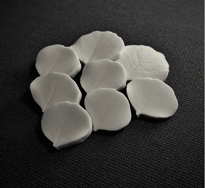 Dollar Eucalyptus Leaf Veiner Set Small By Simply Nature was £35.78 now with 40% discount  £21.46