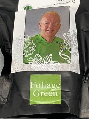 FlexiPaste Foliage Green 200g - NO LONGER MANUFACTURED, MAXIMA IS AN ALTERNATIVE