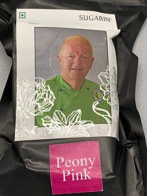 FlexiPaste Peony Pink 100 grams