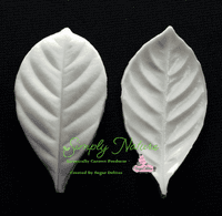 Gardenia Leaf Veiner Medium By Simply Nature was £15.45 now with 40% discount is £9.27