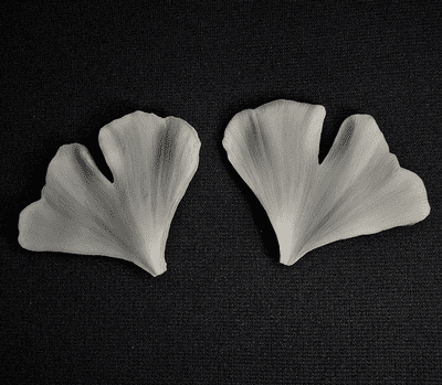 Ginkgo Leaf Veiner XL By Simply Nature was £26.75 now with 40% discount is £16.05