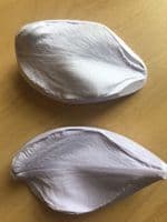 Gladiolus Petal Veiner by Angeliza NO LONGER AVAILABLE