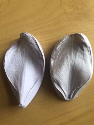 Gladiolus Petal Veiner by Angeliza NO LONGER AVAILABLE