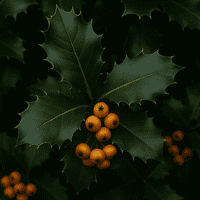 Holly Leaf Large Cutter By Robert Haynes was £13.30 now with 35% discount £8.65