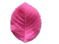 Large Rose Leaf Veiner Set - £6.50