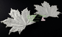 Maple Leaf Veiner Large By Simply Nature was £28.41 now with 40% discount is £17.04