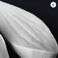 Mistletoe Large Leaf Veiner By Robert Haynes was £15.75 now less 35% £10.23
