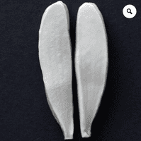 Mistletoe Small Leaf Veiner By Robert Haynes was £11.65 now less 35% £7.57
