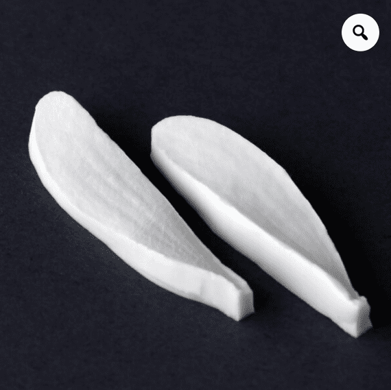 Mistletoe Small Leaf Veiner By Robert Haynes was £11.65 now less 35% £7.57