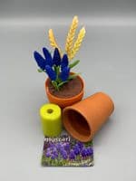 Muscari (Grape Hyacinth) mould by Angeliza NO LONGER AVAILABLE