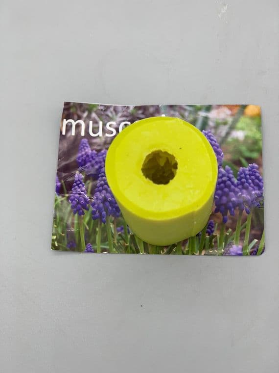 Muscari (Grape Hyacinth) mould by Angeliza NO LONGER AVAILABLE