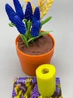 Muscari medium (Grape Hyacinth) mould by Angeliza NO LONGER AVAIALBLE