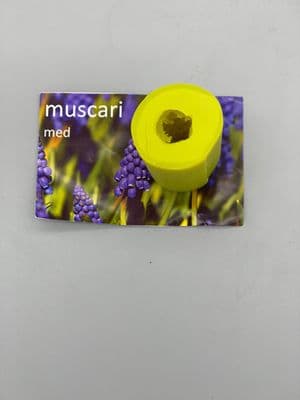 Muscari medium (Grape Hyacinth) mould by Angeliza NO LONGER AVAIALBLE