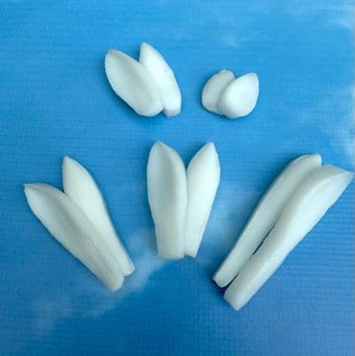 Pink ICe Protea Veiner Set by Sugar Design