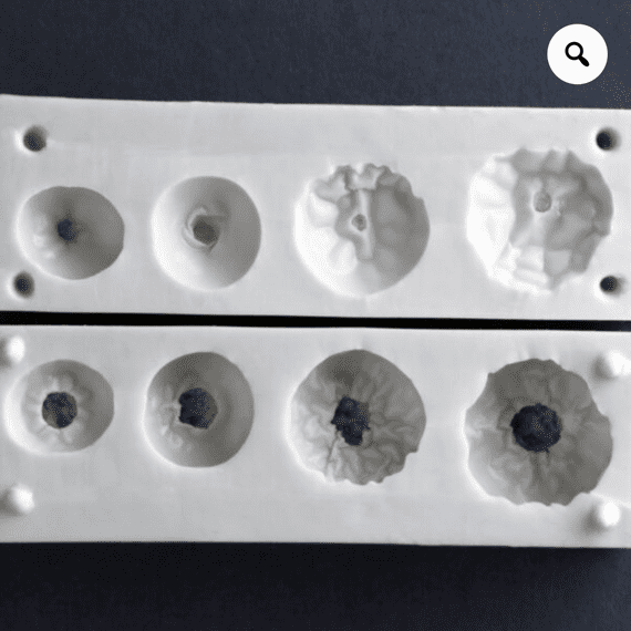 Rugosa Rose Hips (large to small) Set Of 4 Moulds By Robert Haynes was £31.35 now less 35% £20.38