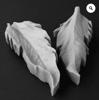 Scabious Leaf Veiner Set of 4 Leaves By Robert Haynes was £46.75 now less 35% £30.38