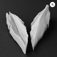 Scabious Leaf Veiner Set of 4 Leaves By Robert Haynes was £46.75 now less 35% £30.38