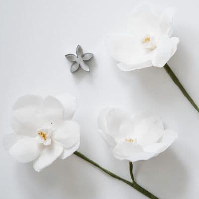 Stephanotis Petal Cutter by Suzanne Esper