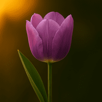 Tulip Petal (Lilac Wonder) Petal Cutter By Robert Haynes was £7.55 now less 35% £4.91