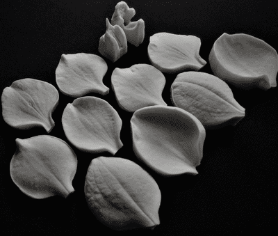 Vanda Orchid Petals & Throat Veiner Set By Simply Nature was £45.90 now with 40% discount is £27.54