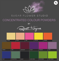 Violet Robert Haynes Concentrated Colour Powder 10ml size RRP £6.00 now £3.00