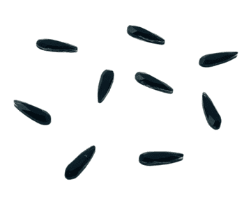 Style 2, Jet Black Teardrop, (2x8mm), EIMASS® 8830 Tiny Glass Crystals - Nail Art