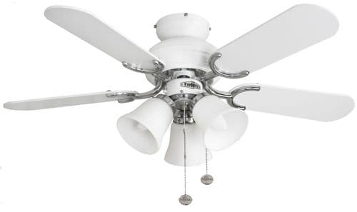 Fantasia Capri Combi 36" White and Stainless Steel Ceiling Fan + Light 110538
