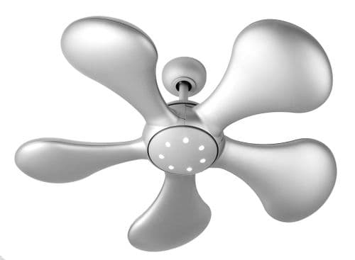 Fantasia Elite Splash