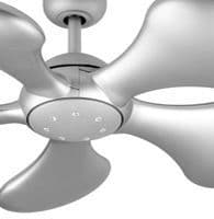 Large Ceiling Fans