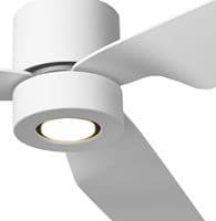 LED ceiling fans