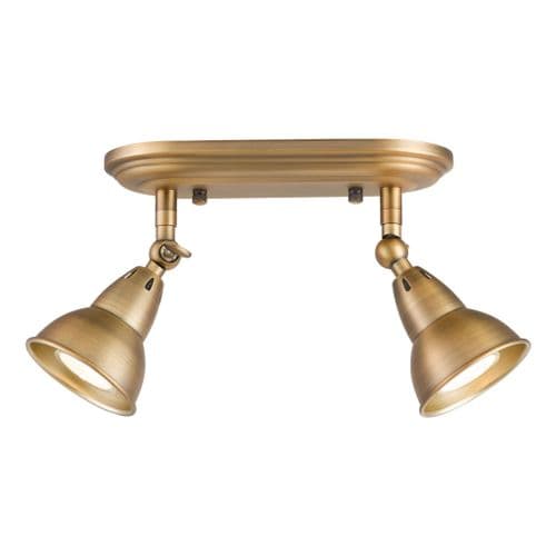 NATHANIEL 2LT PLATE SPOTLIGHT AGED BRASS