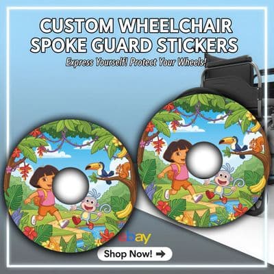 Dora the Explorer and Boots Jungle Adventure Design wheel204