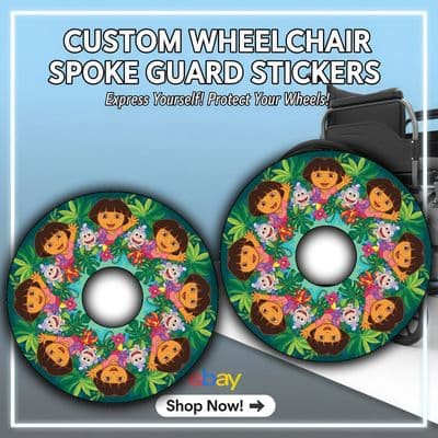 Dora the Explorer and Boots Jungle Adventure Design wheel315