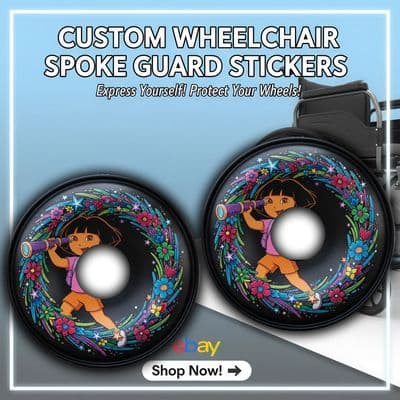 Dora the Explorer Starry Adventure wheel229