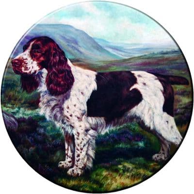 SPRINGER SPANIEL 4x4 Spare Wheel Cover DECAL STICKER
