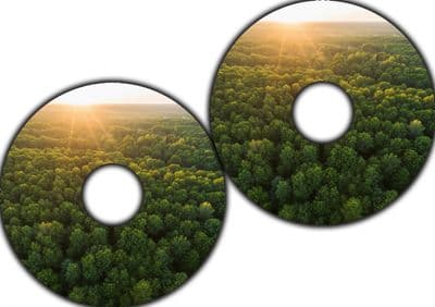 Sunlit Forest Bliss wheel39
