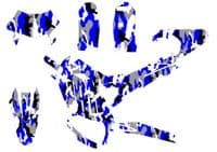 Sur-Ron Ultra Bee Graphics kit, Surron Decals, Surron wrap, Surron Sticker Kit EB286 BLUE